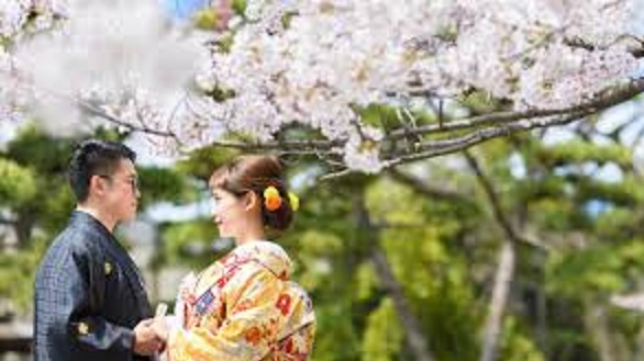 জাপানে শুরু হয়েছে 'সেপারেশন ম্যারেজ' নামের অদ্ভুত এক বিয়ের ট্রেন্ড